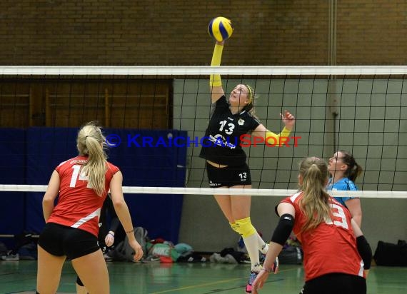 Volleyball Damen 3. Liga Süd SV Sinsheim gegen BSP MTV Stuttgart 27.02.2016 (© Siegfried)