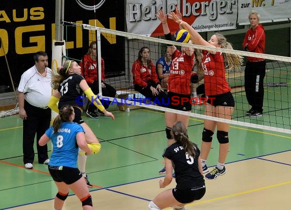 Volleyball Damen 3. Liga Süd SV Sinsheim gegen BSP MTV Stuttgart 27.02.2016 (© Siegfried)