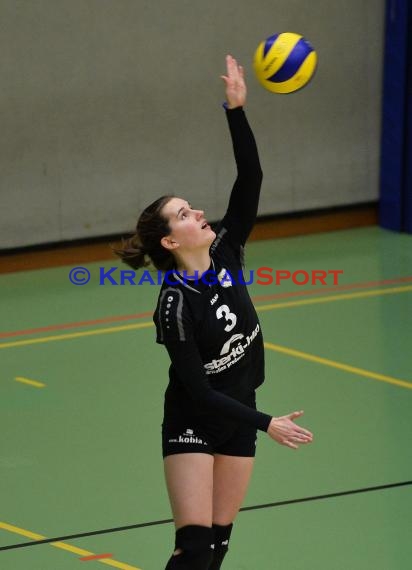 Volleyball Damen 3. Liga Süd SV Sinsheim gegen DJK Schwäbisch Gmünd / Schwaebisch Gmuend 19.03.2016 (© Siegfried)