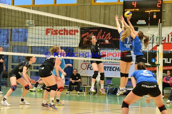 Volleyball Damen 3. Liga Süd SV Sinsheim gegen TSG Heidelberg-Rohrbach 10.04.2016 (© Siegfried)