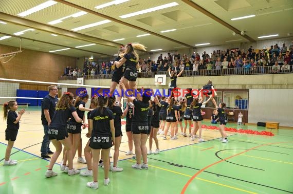 Volleyball Damen 3. Liga Süd SV Sinsheim gegen TSG Heidelberg-Rohrbach 10.04.2016 (© Siegfried)