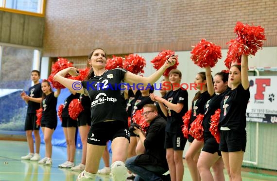 Volleyball Damen 3. Liga Süd SV Sinsheim gegen TSG Heidelberg-Rohrbach 10.04.2016 (© Siegfried)