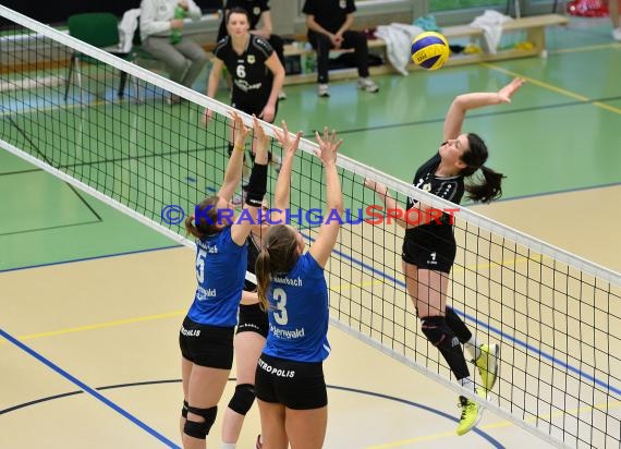 Volleyball Damen 3. Liga Süd SV Sinsheim gegen TSG Heidelberg-Rohrbach 10.04.2016 (© Siegfried)