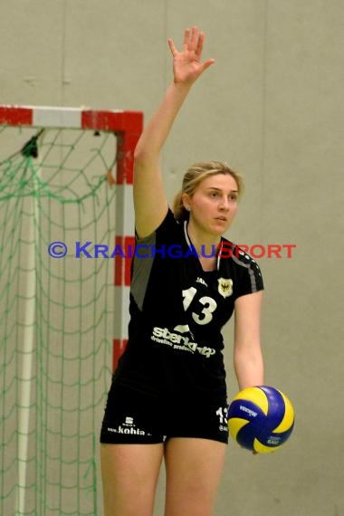 Volleyball Damen 3. Liga Süd SV Sinsheim gegen TSG Heidelberg-Rohrbach 10.04.2016 (© Siegfried)