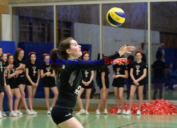 Volleyball Damen 3. Liga Süd SV Sinsheim gegen TSG Heidelberg-Rohrbach 10.04.2016 (© Siegfried)