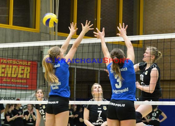 Volleyball Damen 3. Liga Süd SV Sinsheim gegen TSG Heidelberg-Rohrbach 10.04.2016 (© Siegfried)