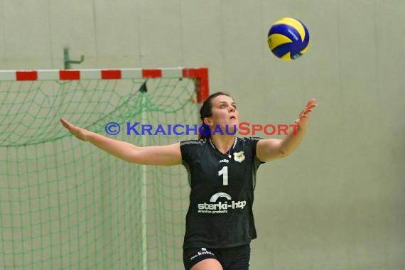 Volleyball Damen 3. Liga Süd SV Sinsheim gegen TSG Heidelberg-Rohrbach 10.04.2016 (© Siegfried)