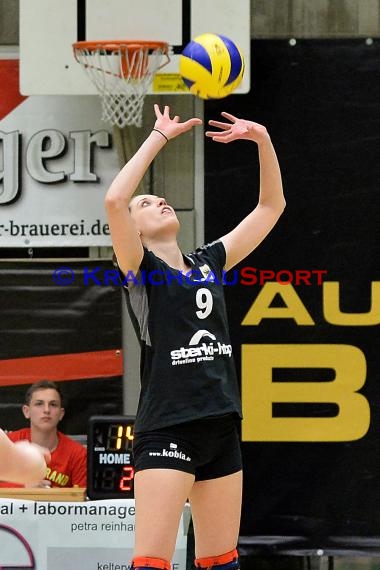 Volleyball Damen 3. Liga Süd SV Sinsheim gegen TSG Heidelberg-Rohrbach 10.04.2016 (© Siegfried)