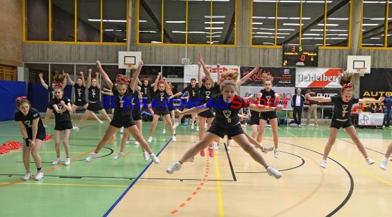 Volleyball Damen 3. Liga Süd SV Sinsheim gegen TSG Heidelberg-Rohrbach 10.04.2016 (© Siegfried)