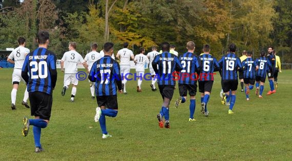 Landesliga Rhein Neckar TSV Michelfeld vs SV Waldhof Mannheim 2 - 13-11-2016 (© Siegfried)