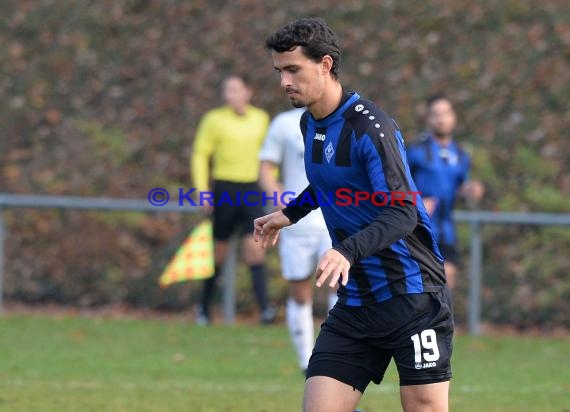 Landesliga Rhein Neckar TSV Michelfeld vs SV Waldhof Mannheim 2 - 13-11-2016 (© Siegfried)