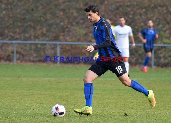 Landesliga Rhein Neckar TSV Michelfeld vs SV Waldhof Mannheim 2 - 13-11-2016 (© Siegfried)