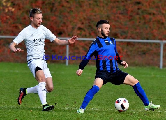 Landesliga Rhein Neckar TSV Michelfeld vs SV Waldhof Mannheim 2 - 13-11-2016 (© Siegfried)