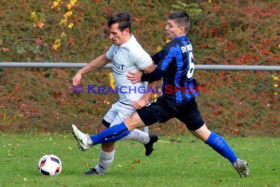 Landesliga Rhein Neckar TSV Michelfeld vs SV Waldhof Mannheim 2 - 13-11-2016 (© Siegfried)