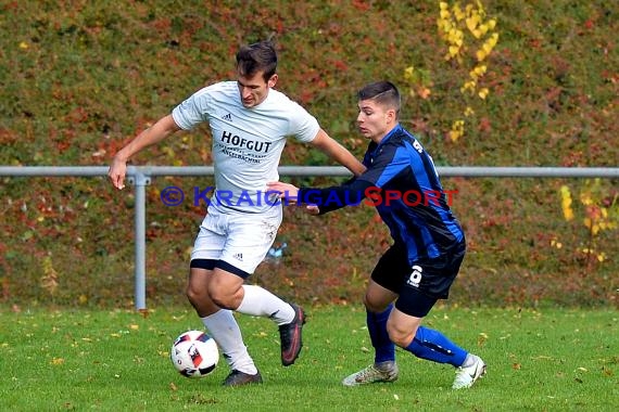 Landesliga Rhein Neckar TSV Michelfeld vs SV Waldhof Mannheim 2 - 13-11-2016 (© Siegfried)