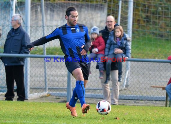 Landesliga Rhein Neckar TSV Michelfeld vs SV Waldhof Mannheim 2 - 13-11-2016 (© Siegfried)