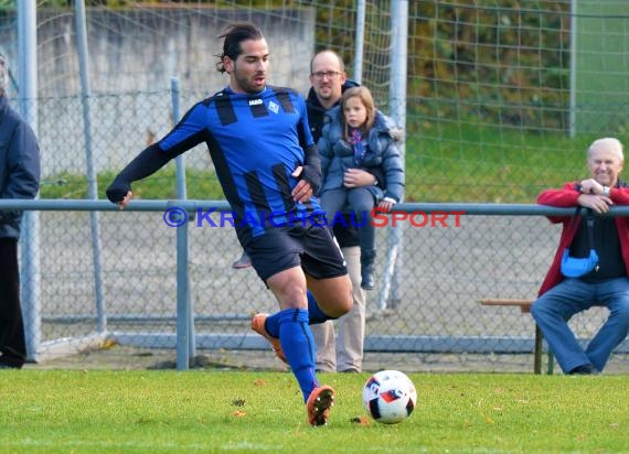 Landesliga Rhein Neckar TSV Michelfeld vs SV Waldhof Mannheim 2 - 13-11-2016 (© Siegfried)