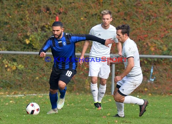 Landesliga Rhein Neckar TSV Michelfeld vs SV Waldhof Mannheim 2 - 13-11-2016 (© Siegfried)