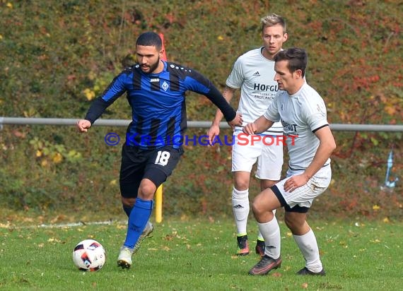 Landesliga Rhein Neckar TSV Michelfeld vs SV Waldhof Mannheim 2 - 13-11-2016 (© Siegfried)