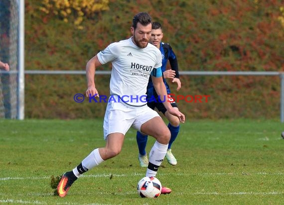 Landesliga Rhein Neckar TSV Michelfeld vs SV Waldhof Mannheim 2 - 13-11-2016 (© Siegfried)