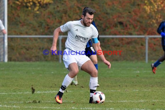 Landesliga Rhein Neckar TSV Michelfeld vs SV Waldhof Mannheim 2 - 13-11-2016 (© Siegfried)