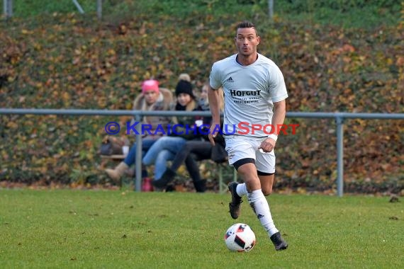 Landesliga Rhein Neckar TSV Michelfeld vs SV Waldhof Mannheim 2 - 13-11-2016 (© Siegfried)