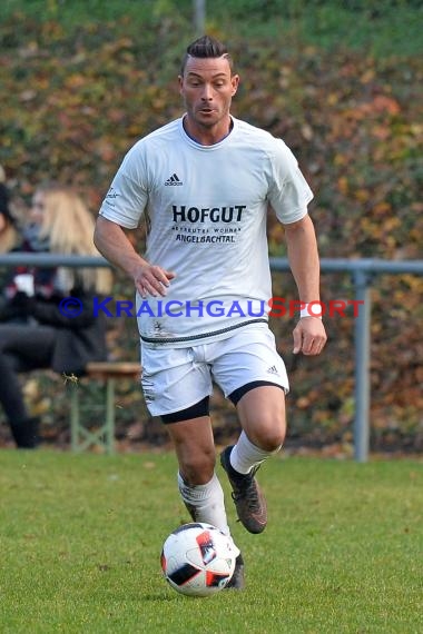 Landesliga Rhein Neckar TSV Michelfeld vs SV Waldhof Mannheim 2 - 13-11-2016 (© Siegfried)