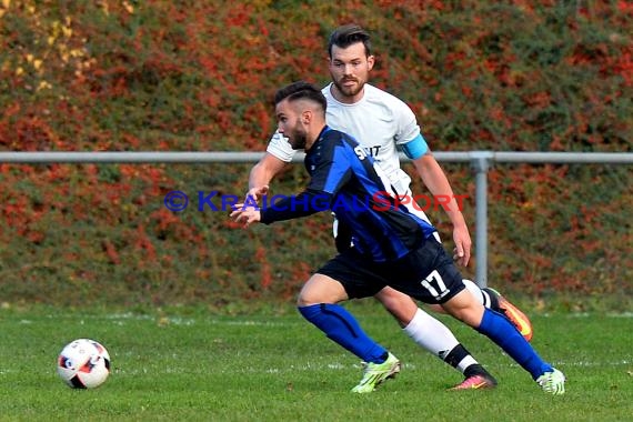 Landesliga Rhein Neckar TSV Michelfeld vs SV Waldhof Mannheim 2 - 13-11-2016 (© Siegfried)