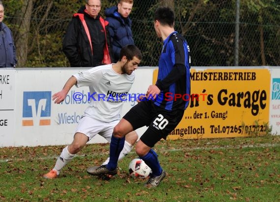 Landesliga Rhein Neckar TSV Michelfeld vs SV Waldhof Mannheim 2 - 13-11-2016 (© Siegfried)