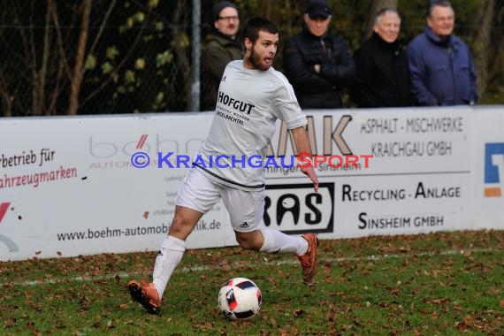 Landesliga Rhein Neckar TSV Michelfeld vs SV Waldhof Mannheim 2 - 13-11-2016 (© Siegfried)