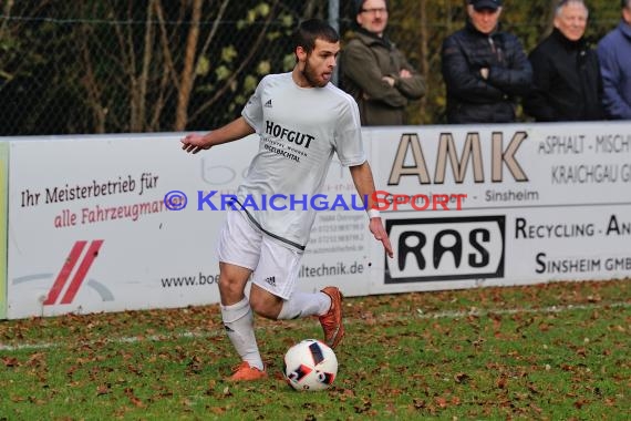 Landesliga Rhein Neckar TSV Michelfeld vs SV Waldhof Mannheim 2 - 13-11-2016 (© Siegfried)