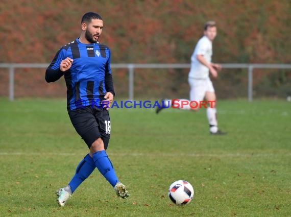 Landesliga Rhein Neckar TSV Michelfeld vs SV Waldhof Mannheim 2 - 13-11-2016 (© Siegfried)