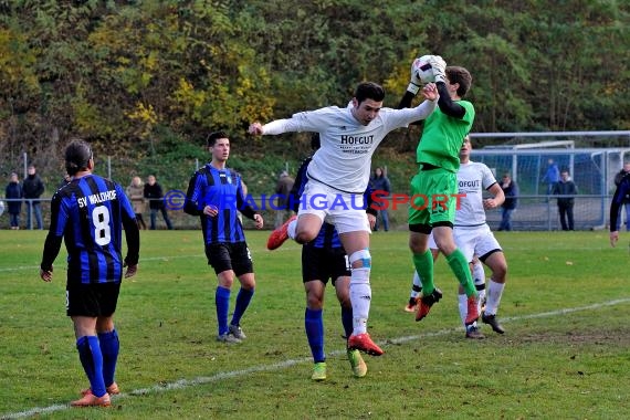 Landesliga Rhein Neckar TSV Michelfeld vs SV Waldhof Mannheim 2 - 13-11-2016 (© Siegfried)