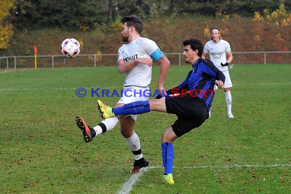 Landesliga Rhein Neckar TSV Michelfeld vs SV Waldhof Mannheim 2 - 13-11-2016 (© Siegfried)