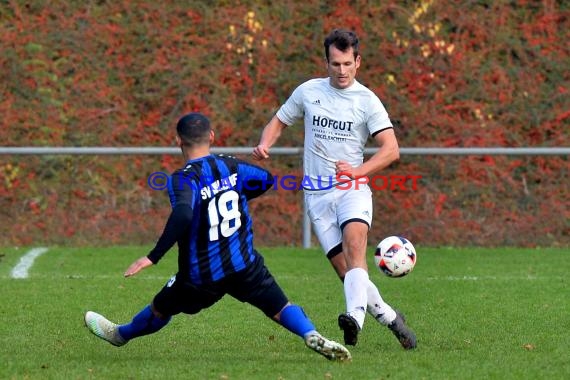 Landesliga Rhein Neckar TSV Michelfeld vs SV Waldhof Mannheim 2 - 13-11-2016 (© Siegfried)