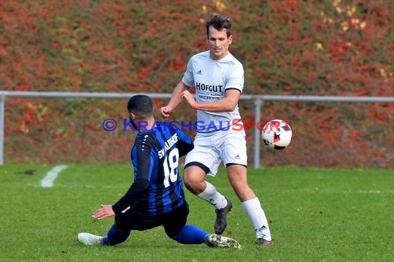 Landesliga Rhein Neckar TSV Michelfeld vs SV Waldhof Mannheim 2 - 13-11-2016 (© Siegfried)