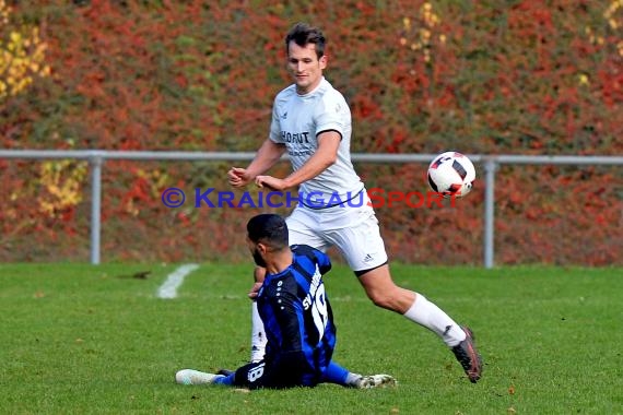 Landesliga Rhein Neckar TSV Michelfeld vs SV Waldhof Mannheim 2 - 13-11-2016 (© Siegfried)