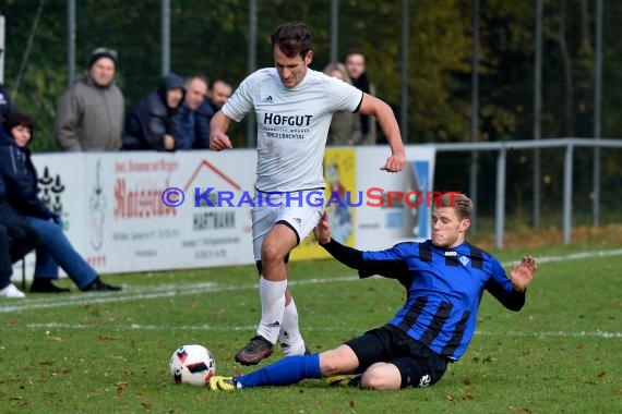 Landesliga Rhein Neckar TSV Michelfeld vs SV Waldhof Mannheim 2 - 13-11-2016 (© Siegfried)