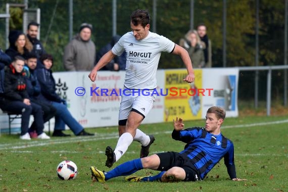 Landesliga Rhein Neckar TSV Michelfeld vs SV Waldhof Mannheim 2 - 13-11-2016 (© Siegfried)