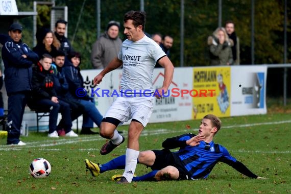 Landesliga Rhein Neckar TSV Michelfeld vs SV Waldhof Mannheim 2 - 13-11-2016 (© Siegfried)