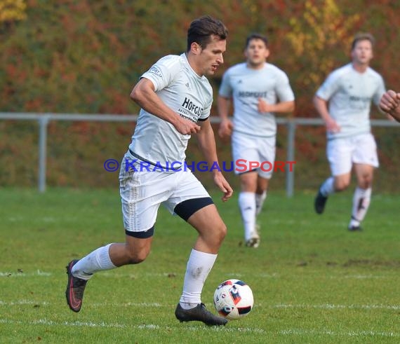 Landesliga Rhein Neckar TSV Michelfeld vs SV Waldhof Mannheim 2 - 13-11-2016 (© Siegfried)