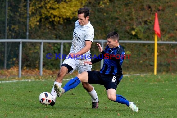 Landesliga Rhein Neckar TSV Michelfeld vs SV Waldhof Mannheim 2 - 13-11-2016 (© Siegfried)