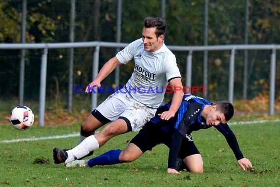 Landesliga Rhein Neckar TSV Michelfeld vs SV Waldhof Mannheim 2 - 13-11-2016 (© Siegfried)