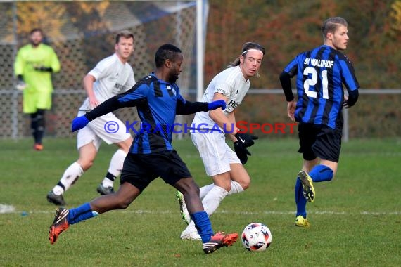 Landesliga Rhein Neckar TSV Michelfeld vs SV Waldhof Mannheim 2 - 13-11-2016 (© Siegfried)