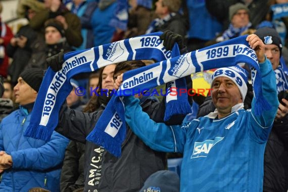 1.BL - 15/16 - TSG 1899 Hoffenheim vs. FC Augsburg (© Kraichgausport / Loerz)