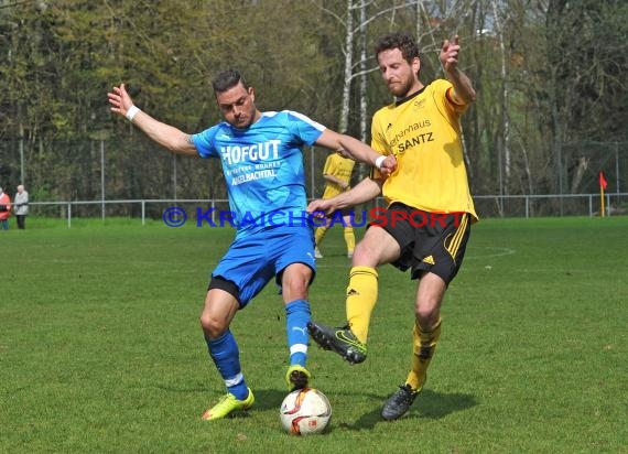 Landesliga Rhein Neckar TSV Michelfeld vs VfB Gartenstadt 10.04.2016 (© Siegfried)