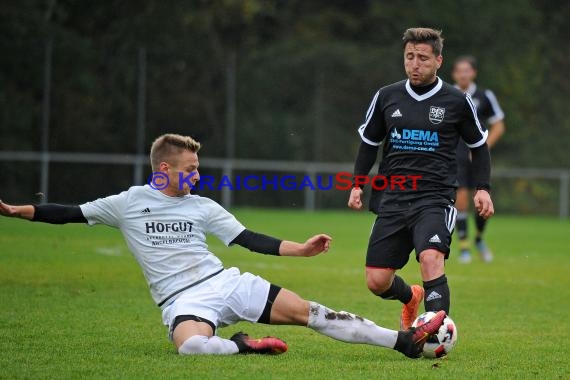 Landesliga Rhein Neckar TSV Michelfeld vs VfB Gartenstadt 29.10.2016 (© Siegfried)