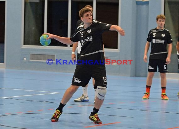 Handball TV Sinsheim vs HG Eberbach 22.10.2016 (© Siegfried)