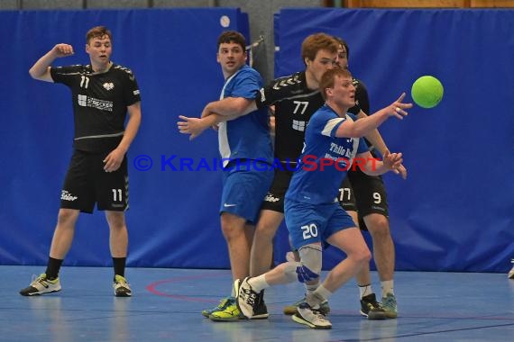 Handball TSV Phoenix Steinsfurt vs SV Sinsheim 22.04.2017 (© Siegfried Lörz)