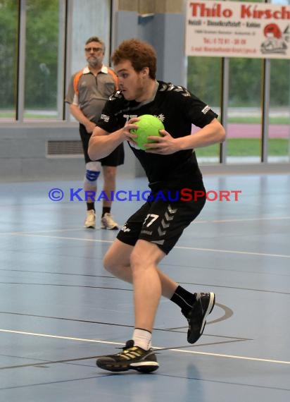 Handball TSV Phoenix Steinsfurt vs SV Sinsheim 22.04.2017 (© Siegfried Lörz)